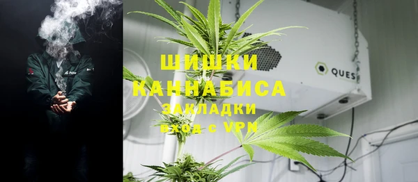 сатива Алзамай