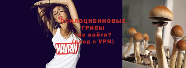 сатива Алзамай