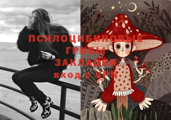 сатива Алзамай