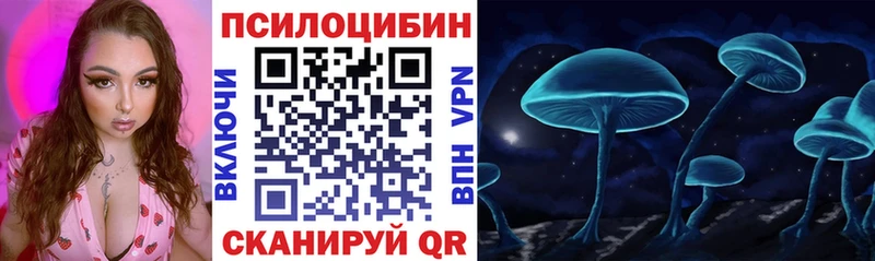 Галлюциногенные грибы Psilocybine cubensis  Грязовец 