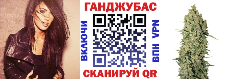 где найти Грязовец Конопля ГИДРОПОН